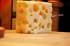Swiss-Cheese.jpg