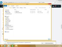 Zemana AntiMalware Bug 04.jpg