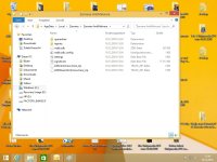 Zemana AntiMalware Bug 05.jpg