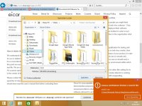 Zemana Anti-Malware German Translation Bug 10.jpg