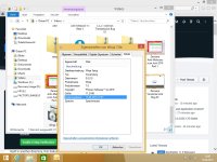 Winja 7.0 Bug 01.jpg