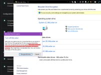 bitlocker.jpg