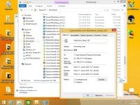WiseVector 2.5 GUI Bug 01.jpg