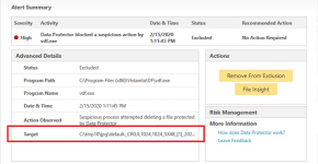 Norton Data Protector Brad_Lane Blocks Deletion of Temp FIles 16 Feb 2020.png