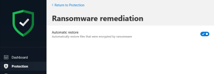 Ransomware protection.png
