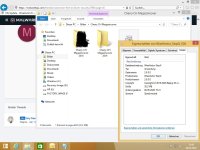 WiseVector Eigenschaftsinfos Bug 01.jpg