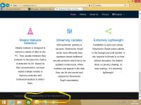 Wisevector Homepage Bug 02.jpg
