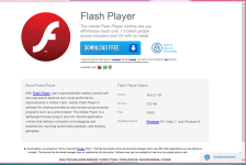 FLASH PLAYER SCREEN SHOT.PNG
