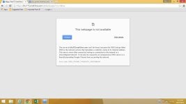 chrome error.jpg