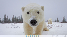 Schermopname (3).png