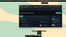 Captura de ecrã 2021-12-12 132022.png