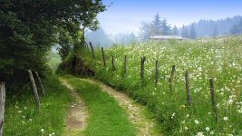 BeautifulPath.jpg