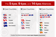 Infographic_1 (1).png