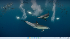 Schermopname (16).png