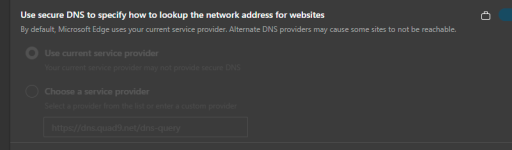 edge dns settings.png