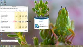 spideragent running.jpg