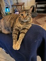 friskie_IMG_2681.jpg