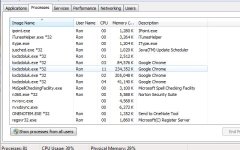 EmieSiteList Virus Windows Task Mgr Snippet.JPG