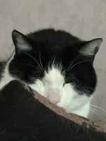 IMG_4514.jpeg