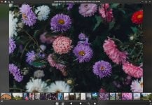 PicView3.0-galleryAnimation (02).jpg
