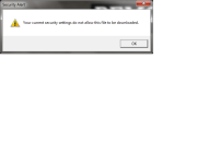 Security Alert.png