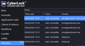 CyberLock whitelist.png
