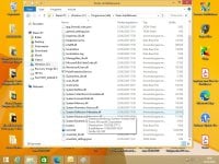 Polar Anti Malware 1.0.2 Bug 02 vom 23.06.2026.jpg