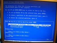 IMG_7773 - small.JPG