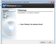 Malwarebytes Scan.jpg