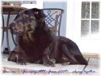 Duncan on Porch (564, web, text).jpg