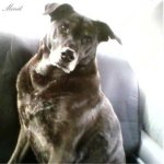 my pretty angel, Minit - cellcam pic (crop) (564).jpg