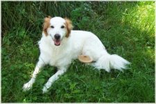 gemma smiling with mushroom 6-11-12 (border, web) .jpg