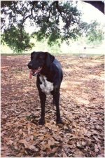 Page in Park 2bcde (564).jpg