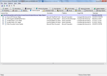 Internet Explorer.png