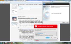 Malware Bytes Cleanup and McAfee Warning.png