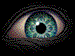 a4fL7.gif