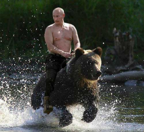 vladimir-putin-riding-bear.jpg